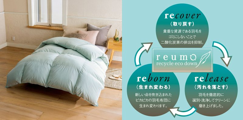 20261001reumo_1.png