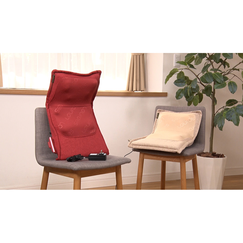 特別番組「ヒロミの集結！スゴ腕カリスマバイヤーズ」15回目の放送が6